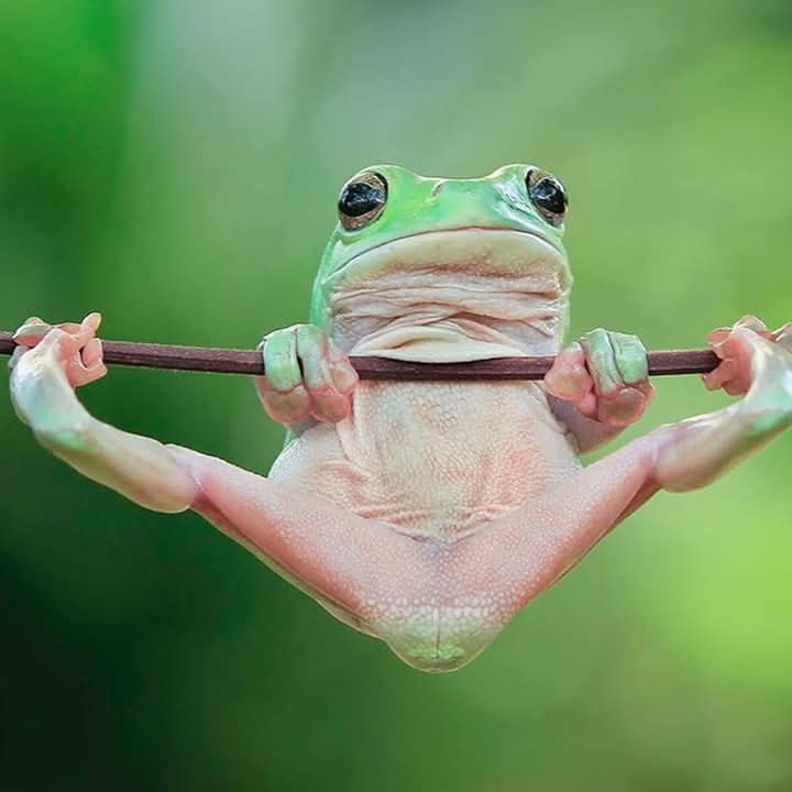 Quand tu es contente d'avoir revu ton esthéticienne.