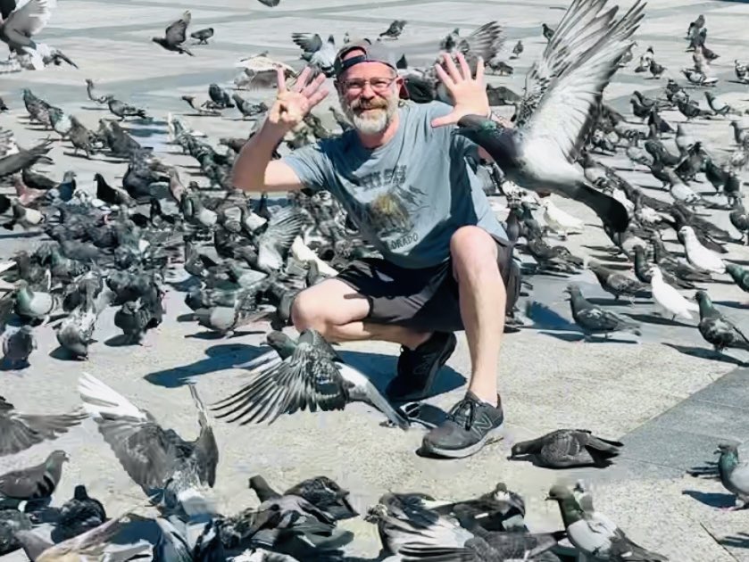 Wombat_Mätt ✭ tweet media