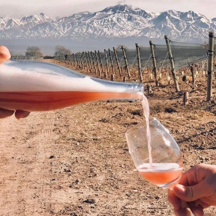 shagbark_hick's tweet image. I am not a proponent of this idea that &quot;wherever you go, there you are.&quot; Or at least, while I can admit there is some truth to it, I find it is often misapplied, trite, or incomplete.

Place does matter. Some places are better than others. One&apos;s mentality does have *some* effect,…