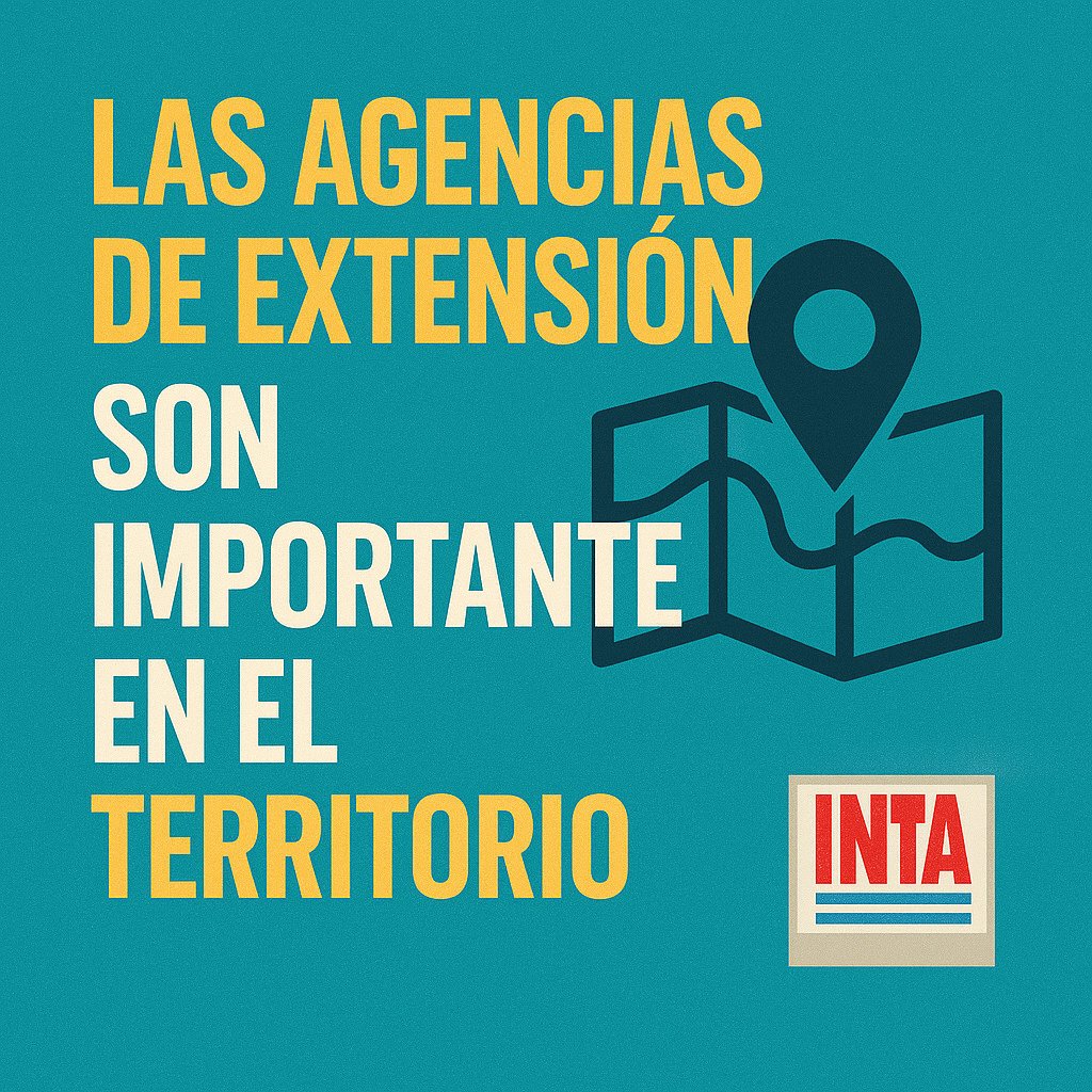 Melisa Defagot tweet media