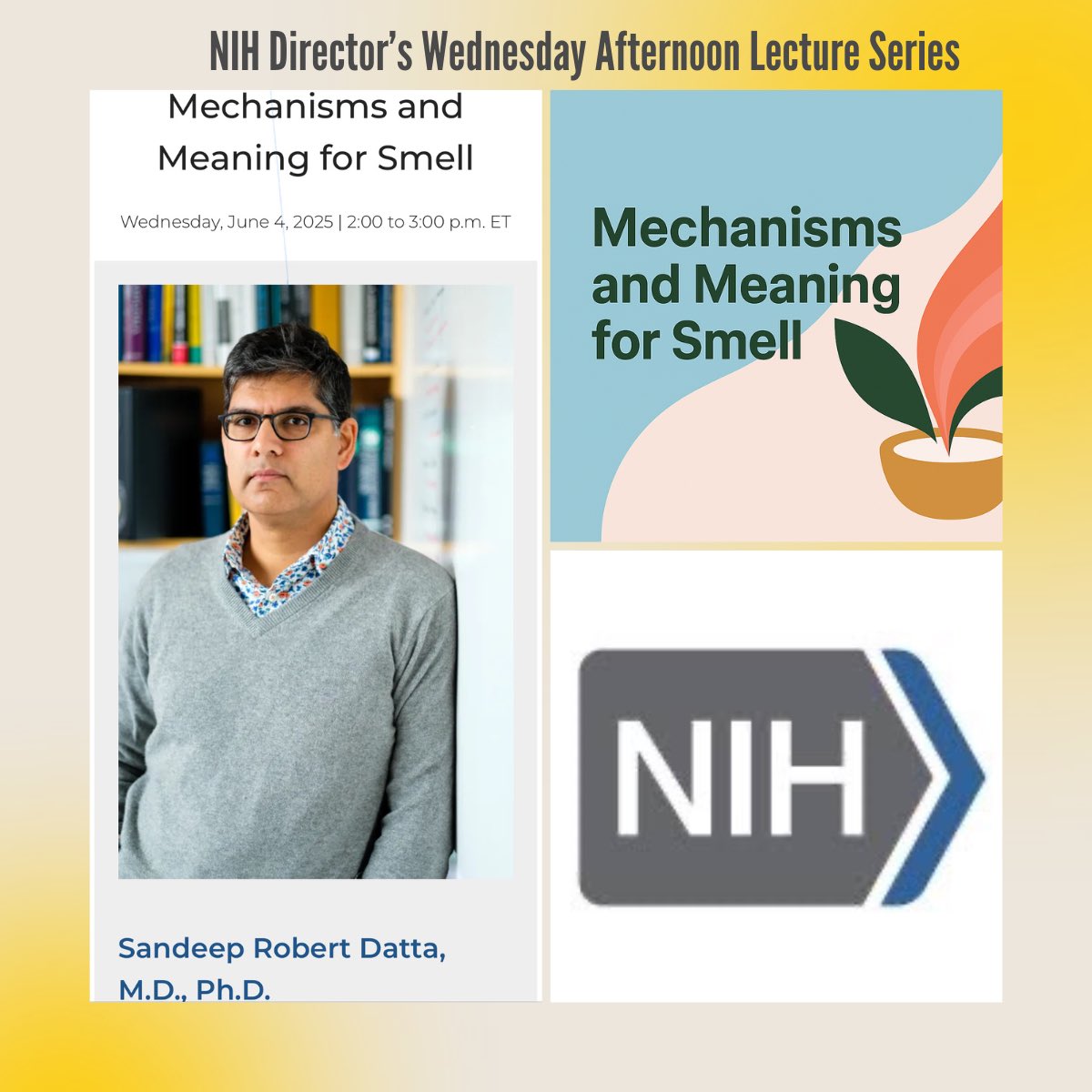 Today at 2PM ET — tune in to the NIH Director’s Wednesday Lecture Series!
Dr. Sandeep Datta (Harvard) shares how smell becomes memory, meaning &amp; behavior.
🎥 Livestream: videocast.nih.gov/livew.asp?live…
👃 Hosted by <a href="/NIH/">NIH</a> National Smell &amp; Taste Center
#SmellMatters #NIHResearch #Olfaction