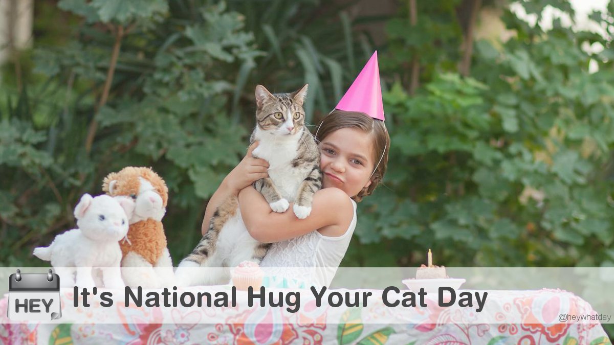HeyWhatDay's tweet photo. It's National Hug Your Cat Day!
#HugYourCatDay #NationalHugYourCatDay #HugYourCat https://t.co/8TT30QtkkS