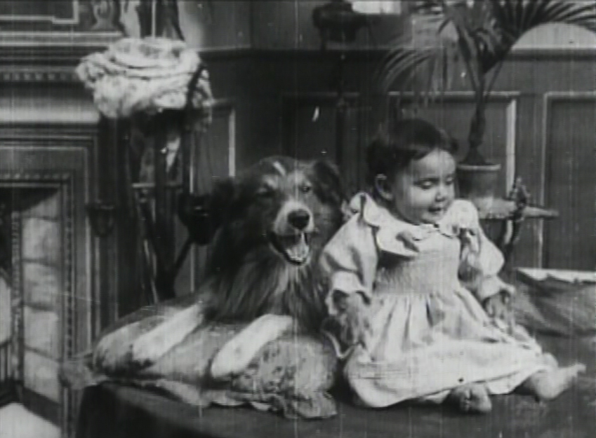ballooonmh's tweet photo. ALSATIANS ARE A GIRL’S BEST FRIEND
“Animals came from over the horizon. They belonged there and here. Likewise they were mortal and immortal.” John Berger.
https://t.co/r9Xf3mackR https://t.co/Dcz1IESJvh