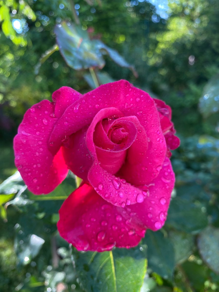 MarketaZapletal's tweet photo. https://t.co/LqiBaw2ZlN