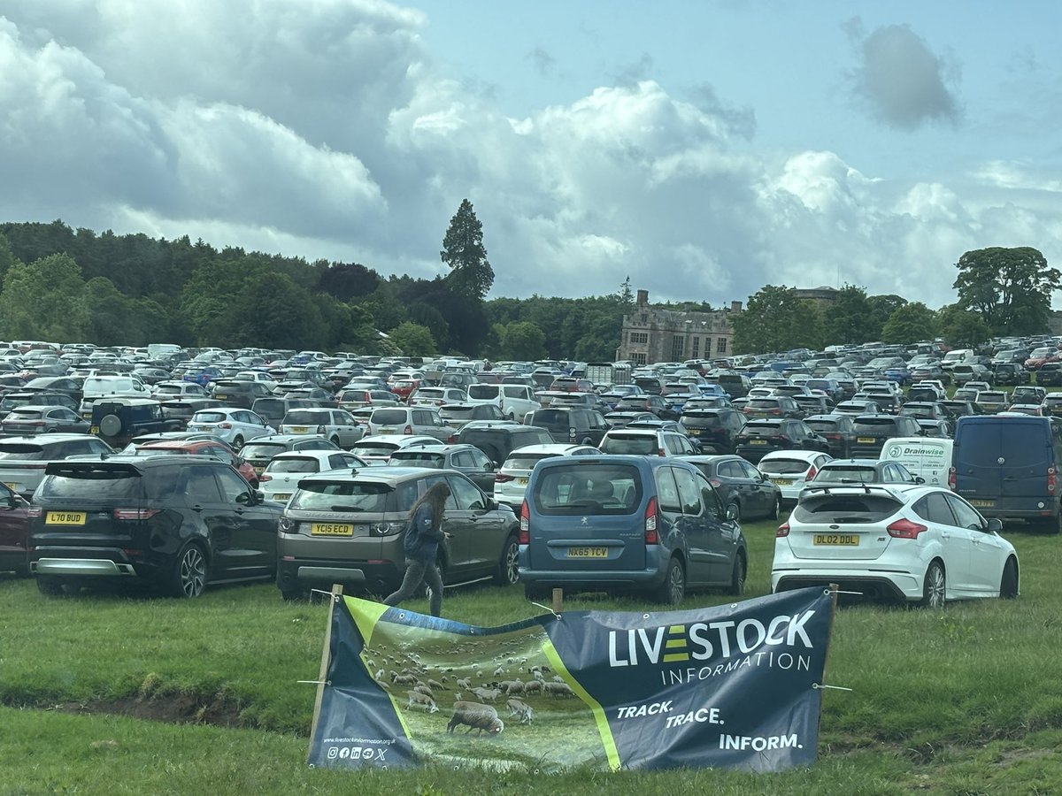 rattycastle's tweet image. #northsheep #LakeDistrict  wow what a set up  #sheepfarmers