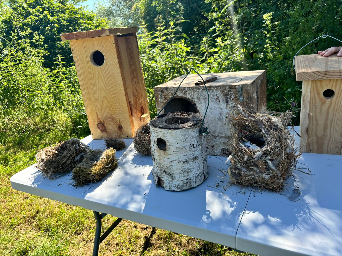 Aquest 5 de juny celebrem #DiaMundialMediAmbient 🔜Matí 26ª bicicletada/caminada amb escoles de #Vic a entorn del riu Gurri #educacióambiental per coneixement de biodiversitat🌳💦🐦
✅Tarda oferim activitats gratuïtes per famílies i ciutadania ➕👉notícia: tuit.cat/n7gk6