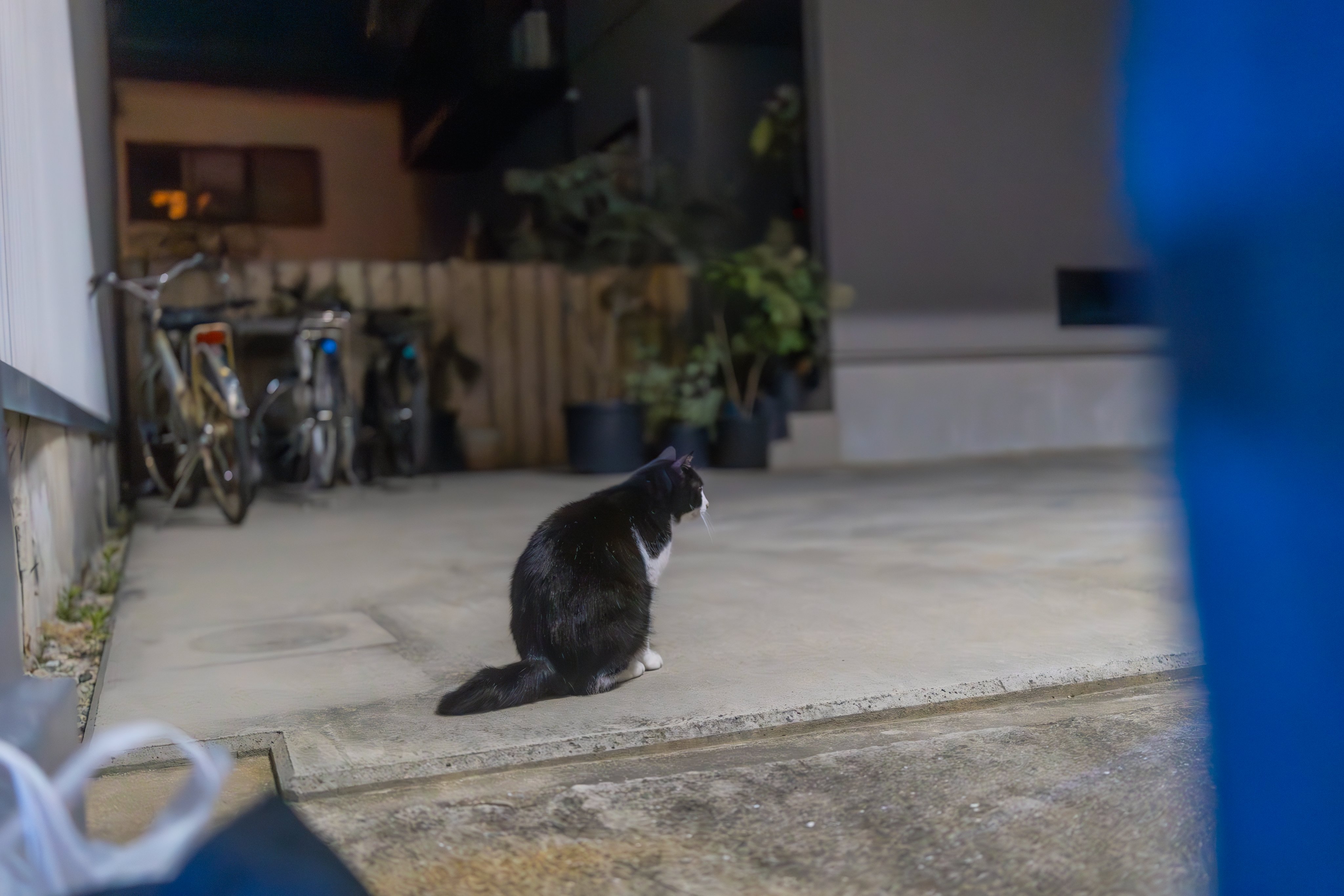 にゃむたページ にゃむ汰 - Twitch