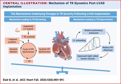 Nir Uriel, MD MSc (@nirurielmd) on Twitter photo Current state of TR evaluation, management and direction of potential interventions in patients with LVADs
Can transcather therapies help alleviate late RVF in select candidates?
Now in <a href="/JACCJournals/">JACC Journals</a>, our review led by <a href="/EladBoaz/">Boaz elad</a>
<a href="/gtsayer/">Gabriel Sayer</a> <a href="/BurkhoffMd/">Dan Burkhoff MD PhD</a> <a href="/hahn_rt/">RTHahnMD</a> <a href="/dor_lotan/">Dor Lotan, MD</a> Current state of TR evaluation, management and direction of potential interventions in patients with LVADs
Can transcather therapies help alleviate late RVF in select candidates?
Now in <a href="/JACCJournals/">JACC Journals</a>, our review led by <a href="/EladBoaz/">Boaz elad</a>
<a href="/gtsayer/">Gabriel Sayer</a> <a href="/BurkhoffMd/">Dan Burkhoff MD PhD</a> <a href="/hahn_rt/">RTHahnMD</a> <a href="/dor_lotan/">Dor Lotan, MD</a>