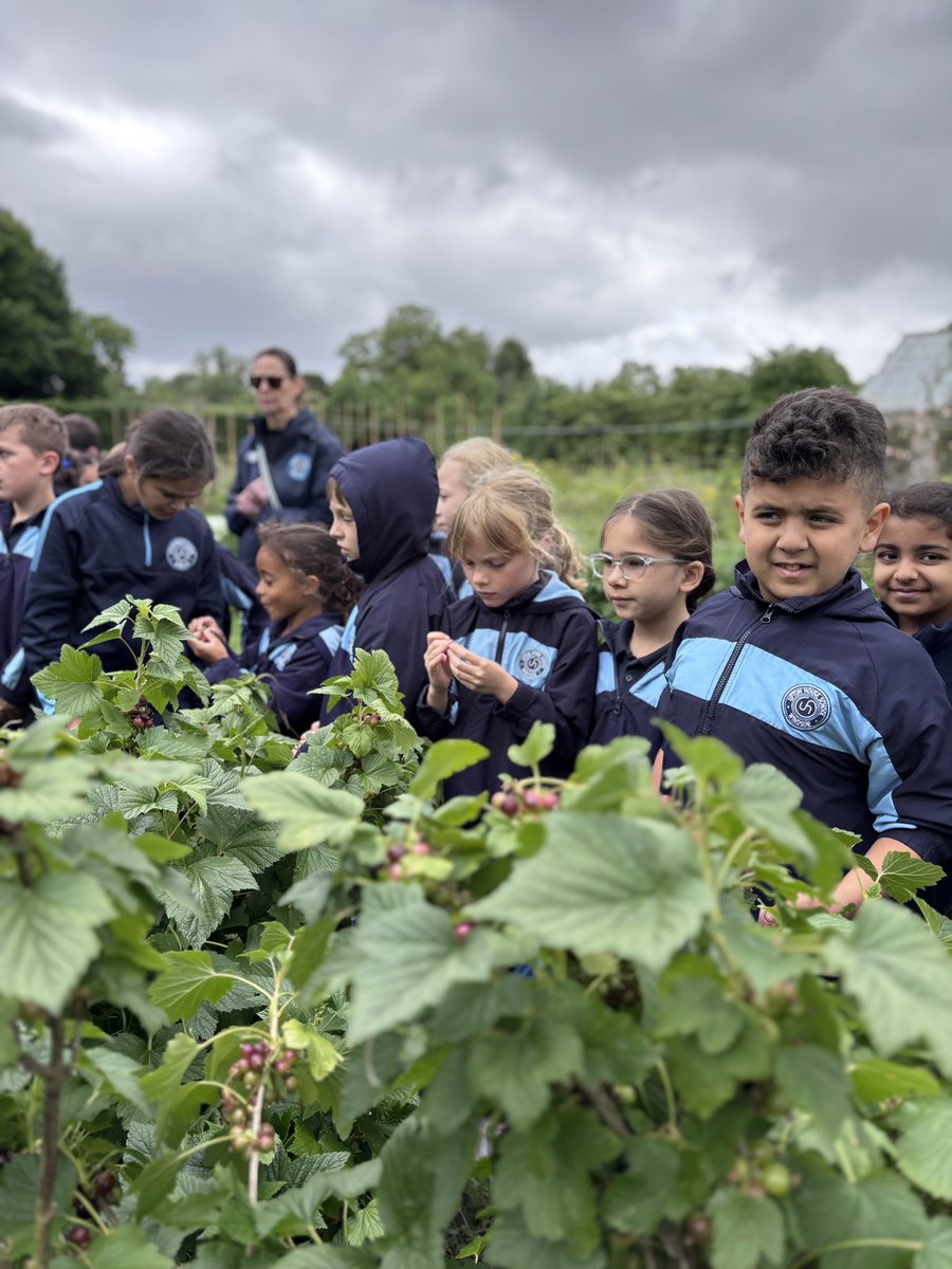 Upton House Form 3 (@uptonform3) on Twitter photo We have had a wonderful day learning about the different elements of an organic working farm. It is fascinating to learn how nature can align to support each step along the process🌺🐞🌿🐄 #UptonJourney #Organic #FreeRange We have had a wonderful day learning about the different elements of an organic working farm. It is fascinating to learn how nature can align to support each step along the process🌺🐞🌿🐄 #UptonJourney #Organic #FreeRange