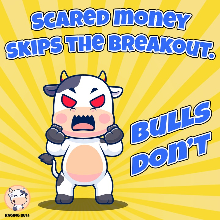 RagingBull_BTFD's tweet photo. Fear’s a killer, bulls are the thriller 🔥

#BTFD #CryptoNews #memecoin #Bullrun2025 https://t.co/lXEqULUDAC