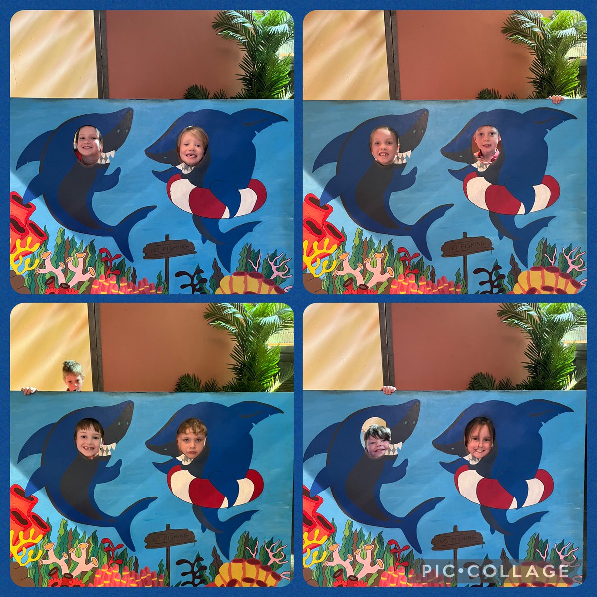 FrodshamCE's tweet photo. π¦ #Y2 had a fin-tastic day, thanks @BluePlanetUK! We dived deep into the world of sharks & came out hooked on helping to protect them. πͺ
Now weβre swimming with inspiration to save our seas & our jawsome ocean friends! ππ
#OceanSOS #SharkSquad #ReelyGoodDay #OceanCommotion π https://t.co/Nf1dW1Fhb8
