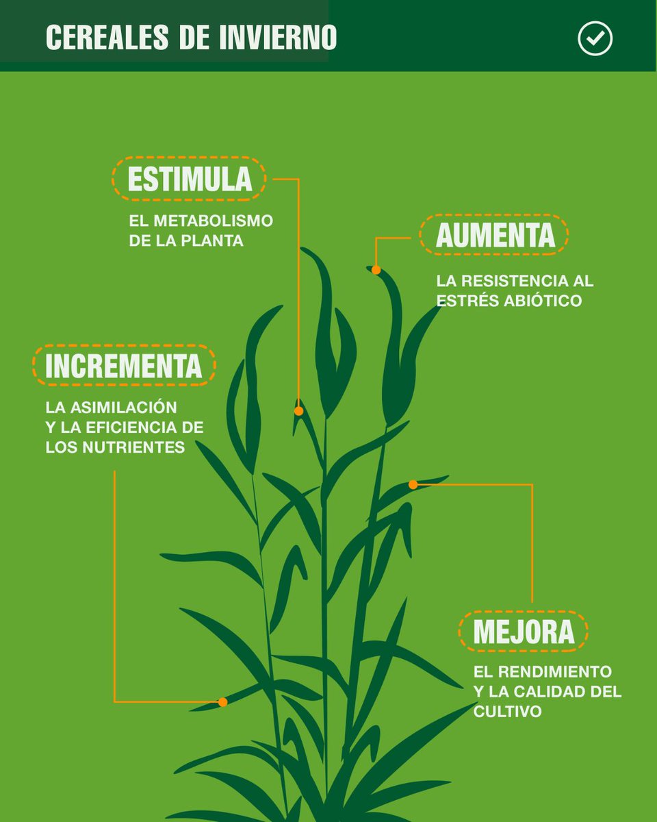 Potenciá el crecimiento de tus cereales de invierno. 🌱✨

#Bioestimulantes
#NutriciónVegetal #AgriculturaSustentable #Cultivos