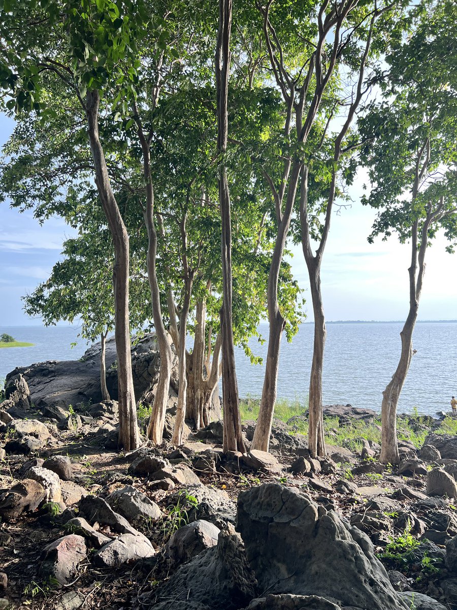 @บางแสน ชลบุรี tweet media