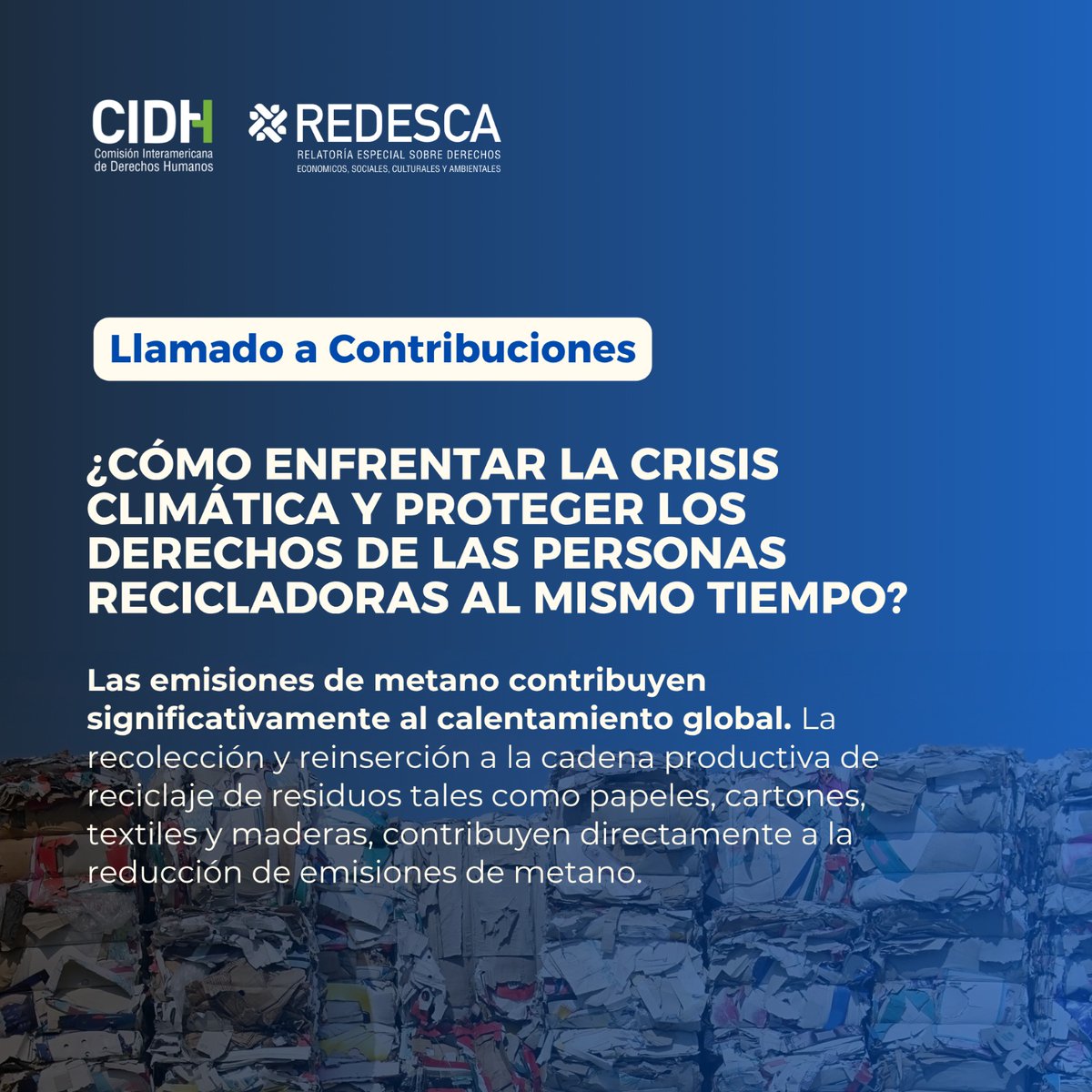 #REDESCA tweet media