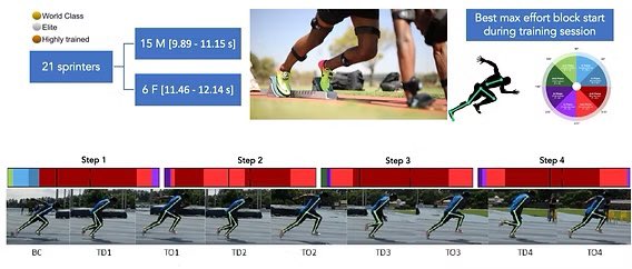 There’s quite a lot going on in this paper and the two subsequent studies, so I wrote this blog article to summarise the methodology and highlight the main findings. 

💡Elite sprinters ➡️ kinematics ➡️ vector coding ➡️ coordination analysis 

🔗 helenbayne.com/post/coordinat…