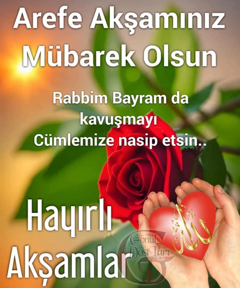 Hasan Olgar (@hasanolgar18) on Twitter photo 