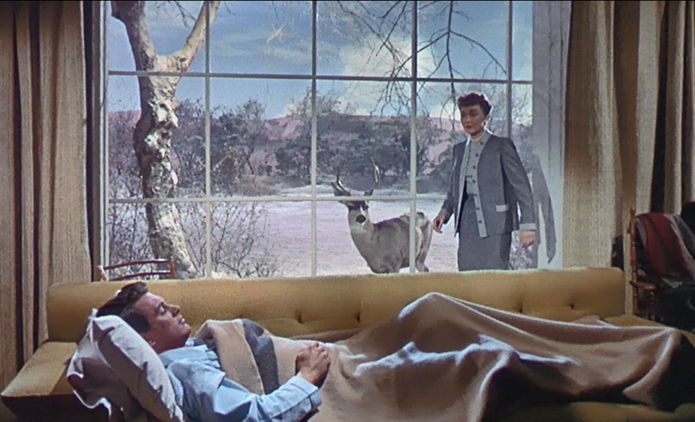 ballooonmh's tweet photo. SNOWFLAKE  - IT'S A WONDERFUL WIFE
From December 2018. Ideal Christmas films (no, not that one) including Henri-Georges Clouzot’s 1946 post-occupation thriller, 'Quai des Orfèvres'.

https://t.co/ndWovXX98i https://t.co/QREN7giIip
