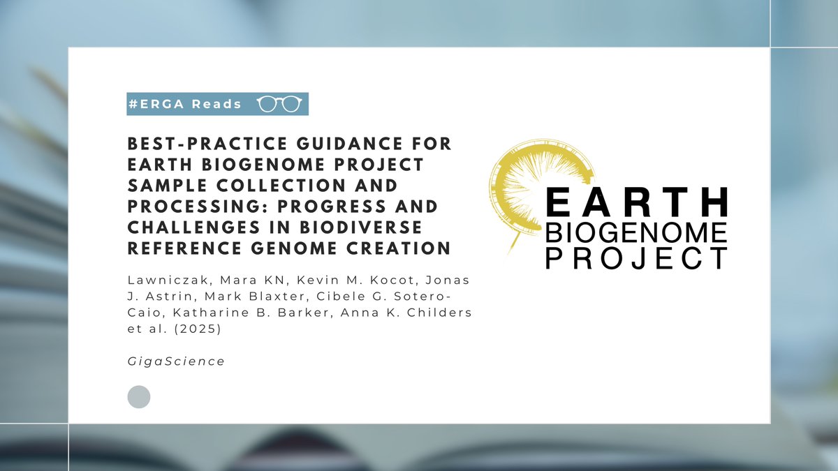 European Reference Genome Atlas (@erga_biodiv) on Twitter photo #ERGAReads | <a href="/EBPgenome/">Earth BioGenome Project ๐</a> aims to generate high-quality reference #genomes across the tree of life ๐
This new paper outlines evolving standards for sample acquisition & processing and explores key challenges for the future of the project.
๐ doi.org/10.1093/gigascโฆ #sampling #ERGAReads | <a href="/EBPgenome/">Earth BioGenome Project ๐</a> aims to generate high-quality reference #genomes across the tree of life ๐
This new paper outlines evolving standards for sample acquisition & processing and explores key challenges for the future of the project.
๐ doi.org/10.1093/gigascโฆ #sampling