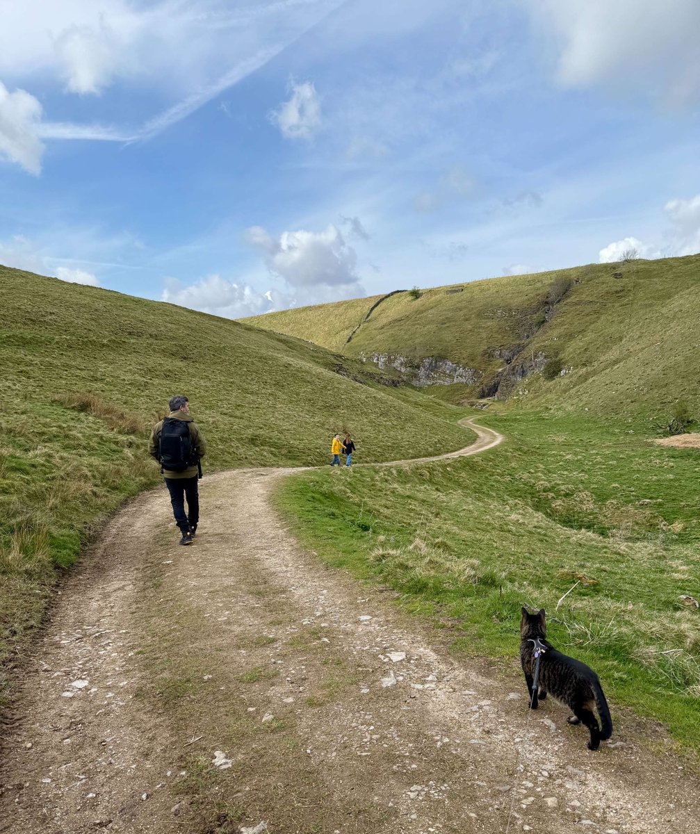 Meet Oliver - possibly the most adventurous cat to visit the #YorkshireDales! 🐾
He explored Trollers Gill on a family trip, safely on a lead 😺 We usually say keep dogs on leads… but cats count too!

We hope Oliver brightens your day 😻

#RespectProtectEnjoy