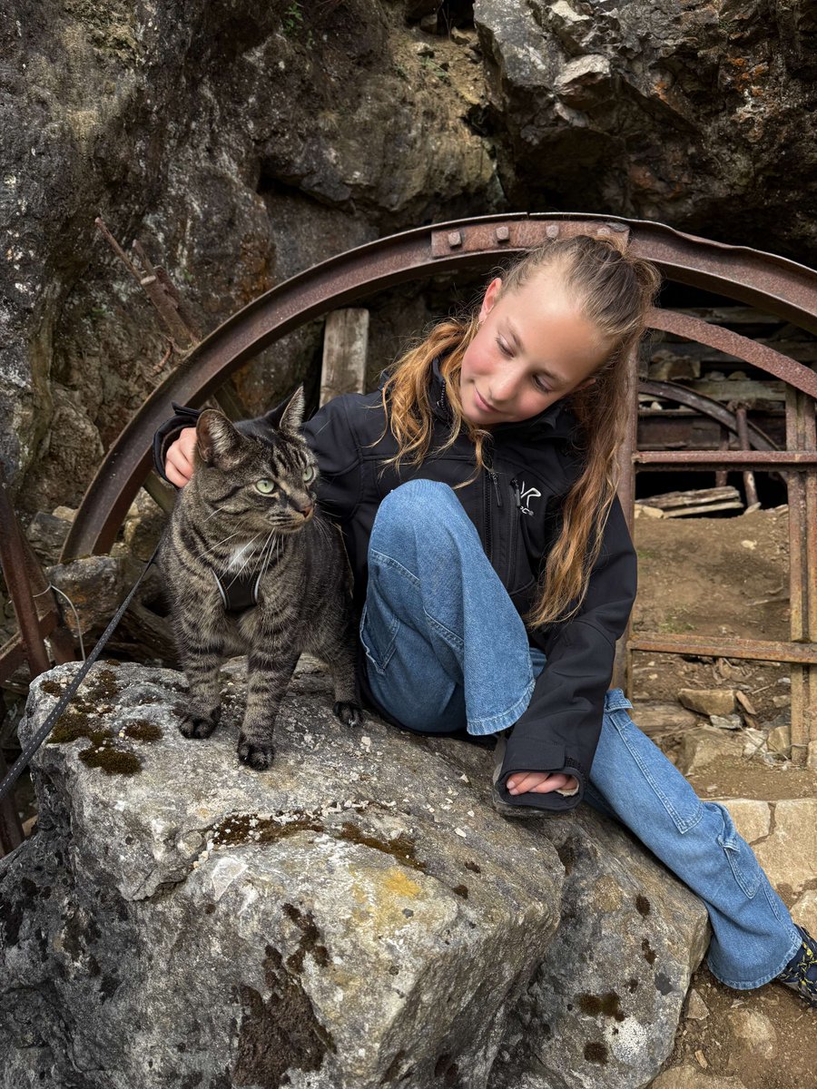 yorkshire_dales's tweet photo. Meet Oliver - possibly the most adventurous cat to visit the #YorkshireDales! 🐾
He explored Trollers Gill on a family trip, safely on a lead 😺 We usually say keep dogs on leads… but cats count too!
We hope Oliver brightens your day 😻
#RespectProtectEnjoy https://t.co/Ss8NuCBXJp