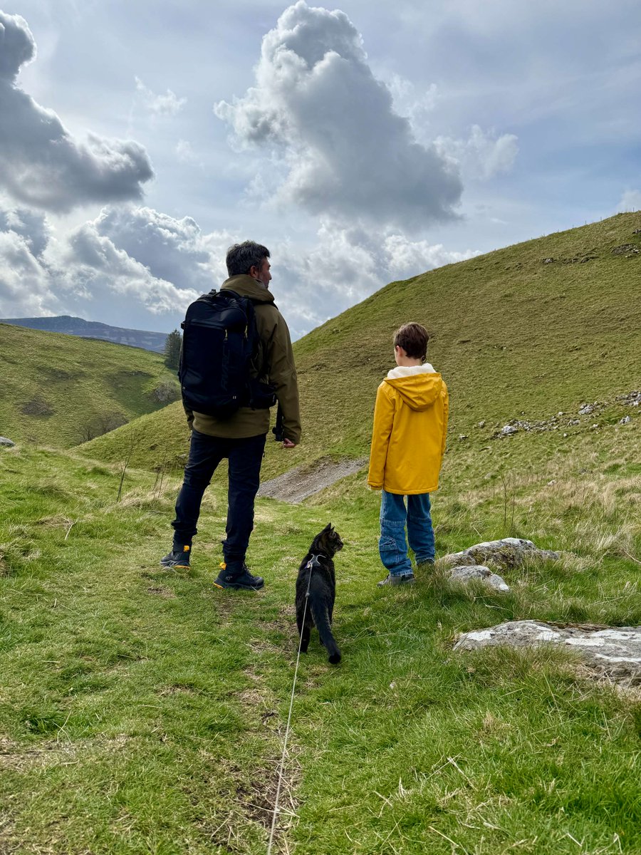 yorkshire_dales's tweet photo. Meet Oliver - possibly the most adventurous cat to visit the #YorkshireDales! 🐾
He explored Trollers Gill on a family trip, safely on a lead 😺 We usually say keep dogs on leads… but cats count too!
We hope Oliver brightens your day 😻
#RespectProtectEnjoy https://t.co/Ss8NuCBXJp