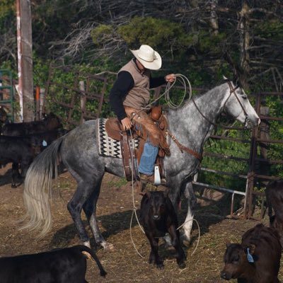 jSchmidd's tweet photo. #NewProfilePic https://t.co/iX3xy2uAup