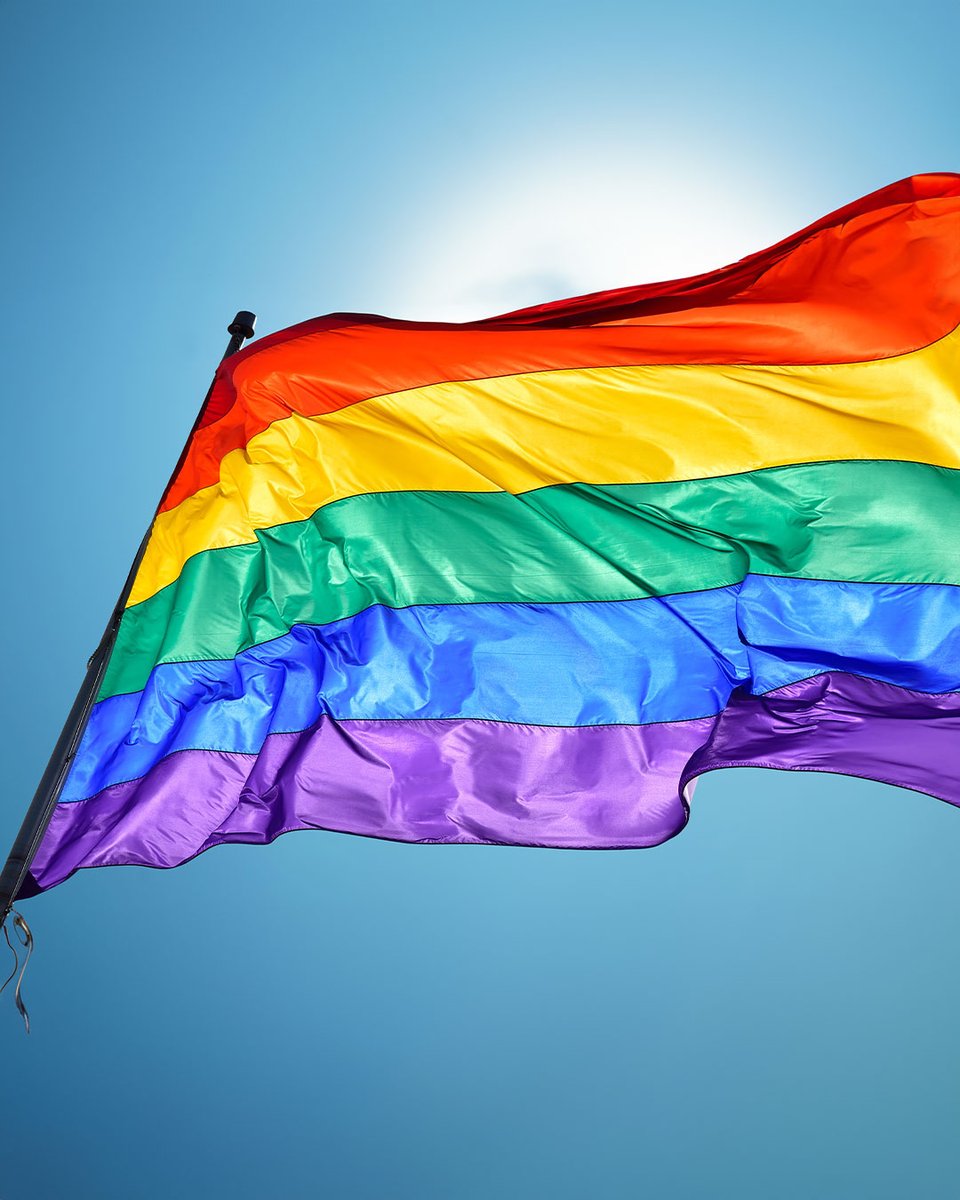 This month, 20 years ago, the House of Commons passed Bill C-38 legalizing same-sex marriage. This made Canada a world leader in 2SLGBTQI+ rights: the third country to pass this law. 🏳️‍🌈
#PrideMonth