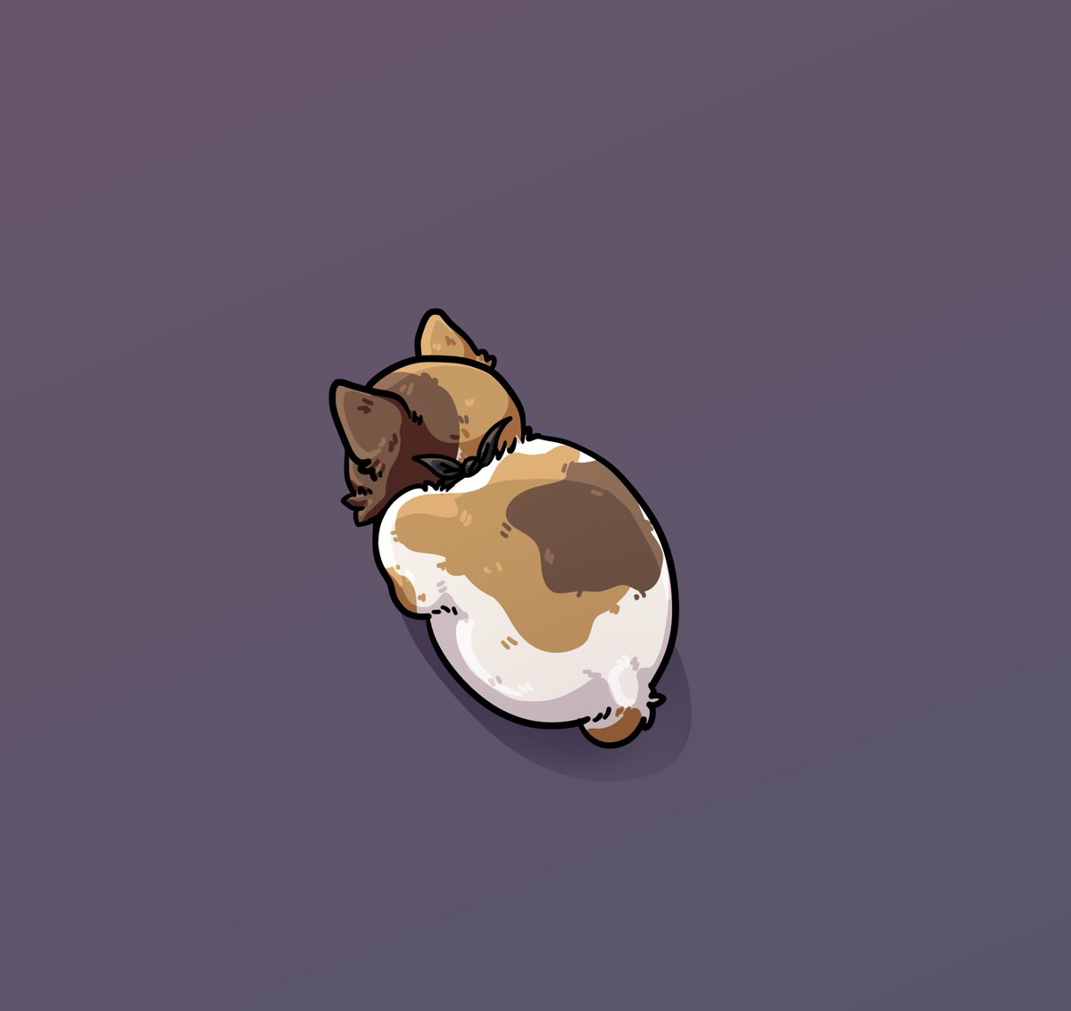meowwnads's tweet image. ♡ Gmeoww ♡

Do you love lil cats?