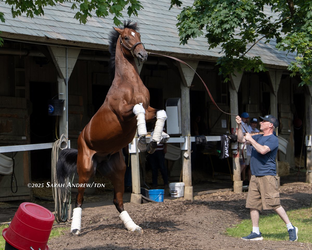 TDN (@thetdn) on Twitter photo JOURNALISM is feeling good in Saratoga π
The GI <a href="/PreaknessStakes/">Preakness Stakes</a> winner was showing off for those in the barn area Tuesday morning ahead of his start in Saturday's GI <a href="/BelmontStakes/">Belmont Stakes</a> at the Spa. JOURNALISM is feeling good in Saratoga π
The GI <a href="/PreaknessStakes/">Preakness Stakes</a> winner was showing off for those in the barn area Tuesday morning ahead of his start in Saturday's GI <a href="/BelmontStakes/">Belmont Stakes</a> at the Spa.