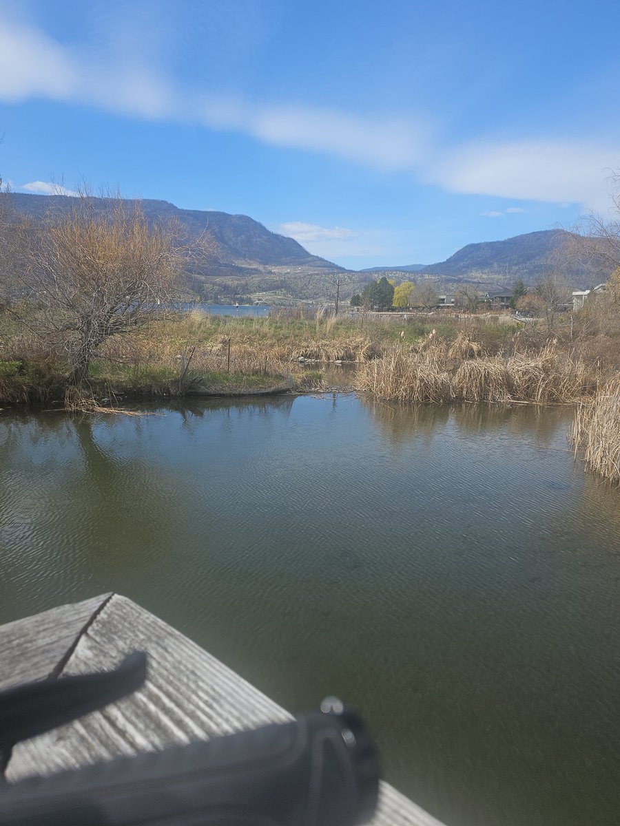 GM 
Beautiful day on my end of the world 💯