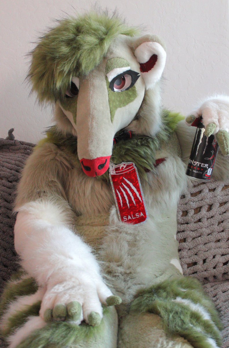 Salsa the Giant Anteater tweet media