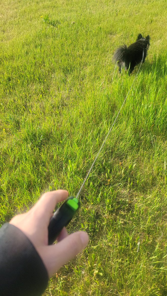 IamWorkable's tweet image. Good morning