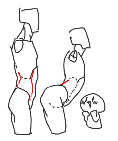 I've found that depicting the overlapping relationship between the external oblique and erector spinae muscles significantly enhances a character's three-dimensionality.