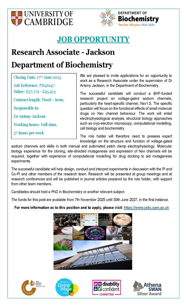 CamBiochem's tweet image. The Jackson Group are recruiting for a Research Associate to work on voltage-gated sodium channels. Apply here by 17 June 2025: jobs.cam.ac.uk/job/51511/