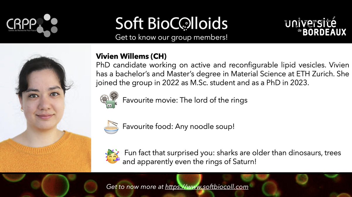 SoftBioColloids group portraits! 🗒️
We will be posting portraits of our group members, so you get to know a bit more about the people driving the science in the group.

We start with the portrait of Vivien Willems👇
More info softbiocoll.com