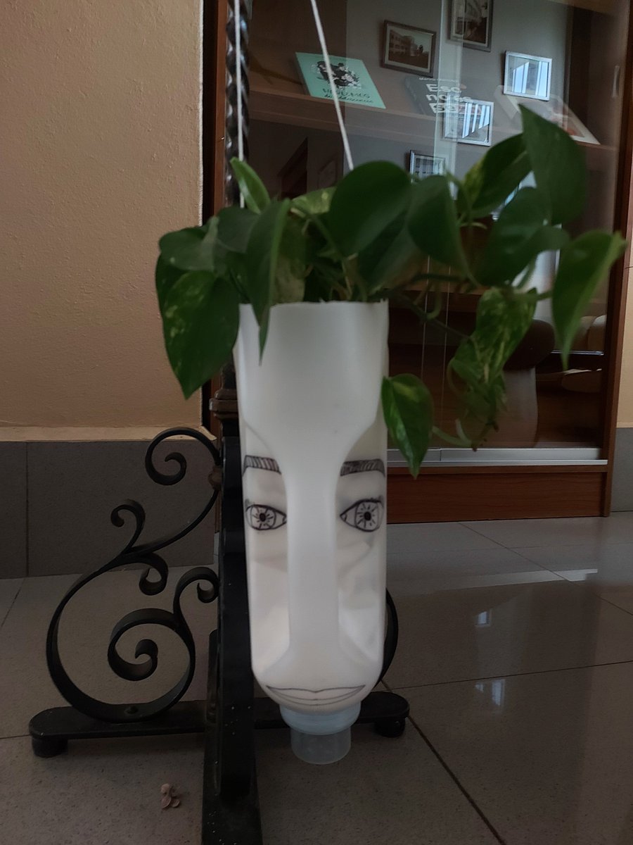 Nuestros pasillos están siendo tomados por las plantas 🪴gracias a estos maceteros tan chulos que han hecho nuestro alumnado ¡con qué poco 🤏 puede conseguirse tanto! 💪en el <a href="/IESCastelar/">IES Castelar</a>