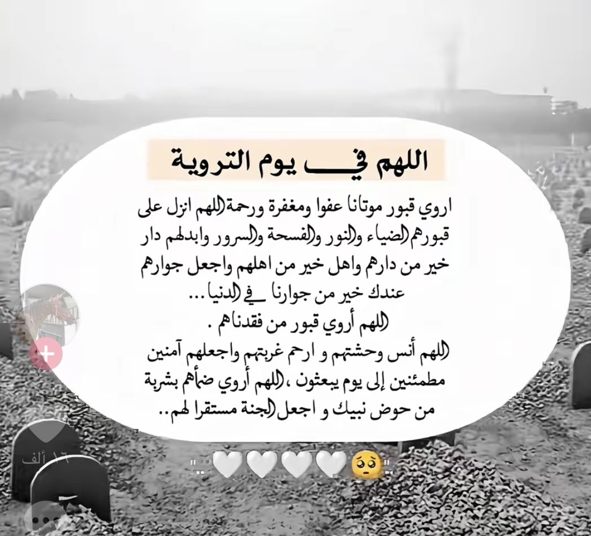 Um Qais (@ffakriya) on Twitter photo 