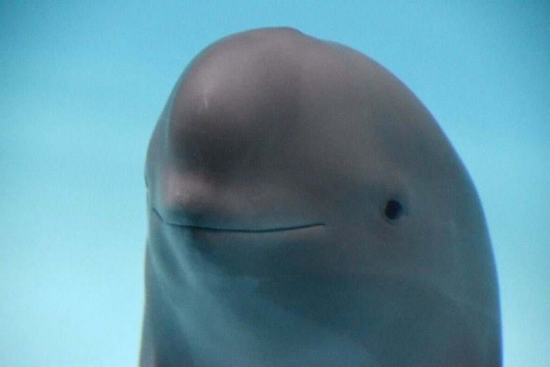 coderabbitai's tweet image. *ai fixes it*