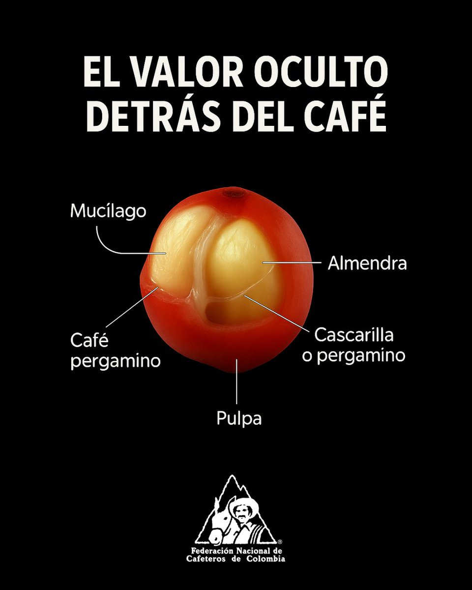 Federación Nacional de Cafeteros tweet media