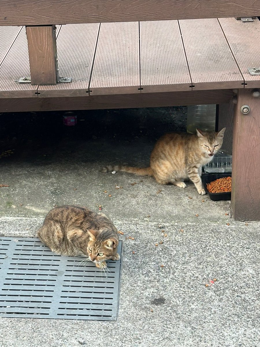 BAE173_member's tweet photo. [#유준]

☀️🏃🏻‍♂️🌱🥭🐈🚦

#BAE173 #비에이이173
#YOOJUN https://t.co/nHFtdTB8QJ
