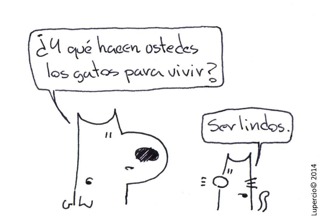 ¿Que hacen para vivir? 🐱🐾