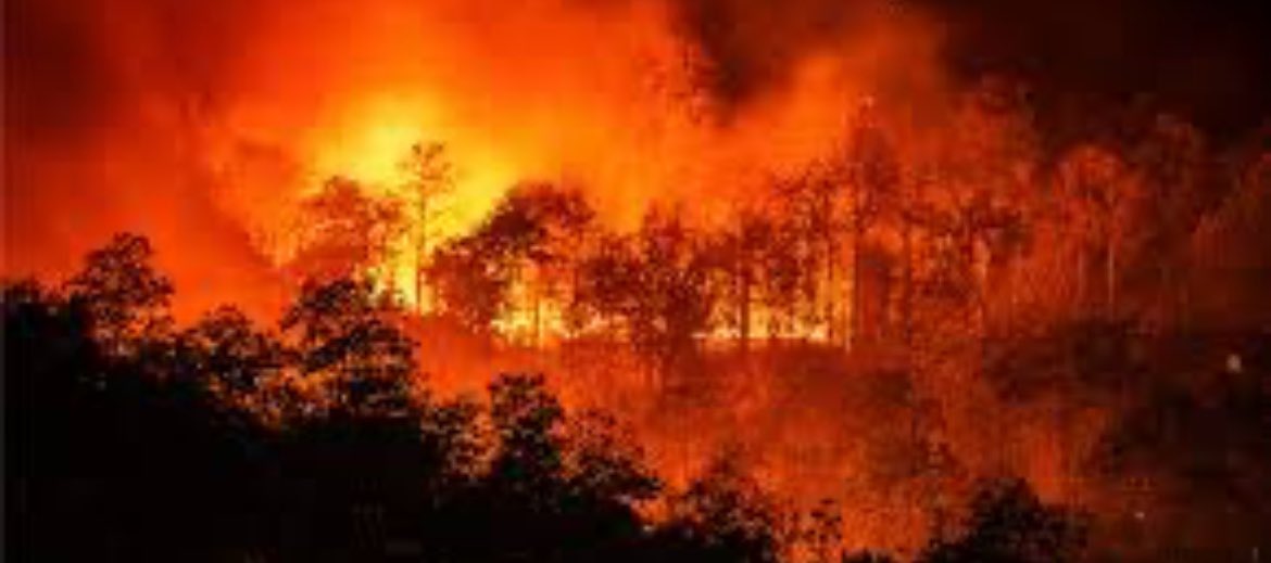 Andrew Scheer thinks people cause forest fires. For some reason no one is waking up to science…

And no, this isn’t an AI image, it’s Lytton, British Columbia.