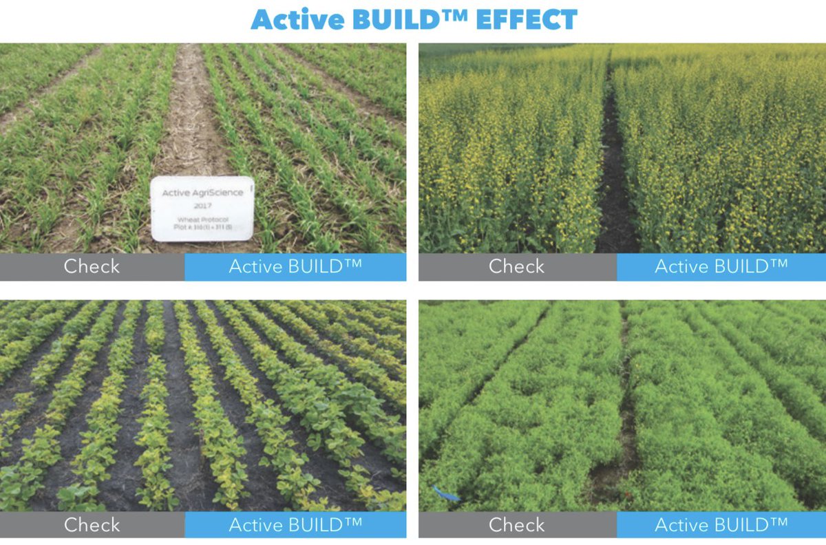 Finally some HEAT and SUN

Have any corn / soys with the CHILLS from a cool spring? Look into Active BUILD to maintain MAX yield potential. 

Tank mix with your choice of Herbicide, BUILD is a stress management tool designed for early season applications. 

Message for more info!