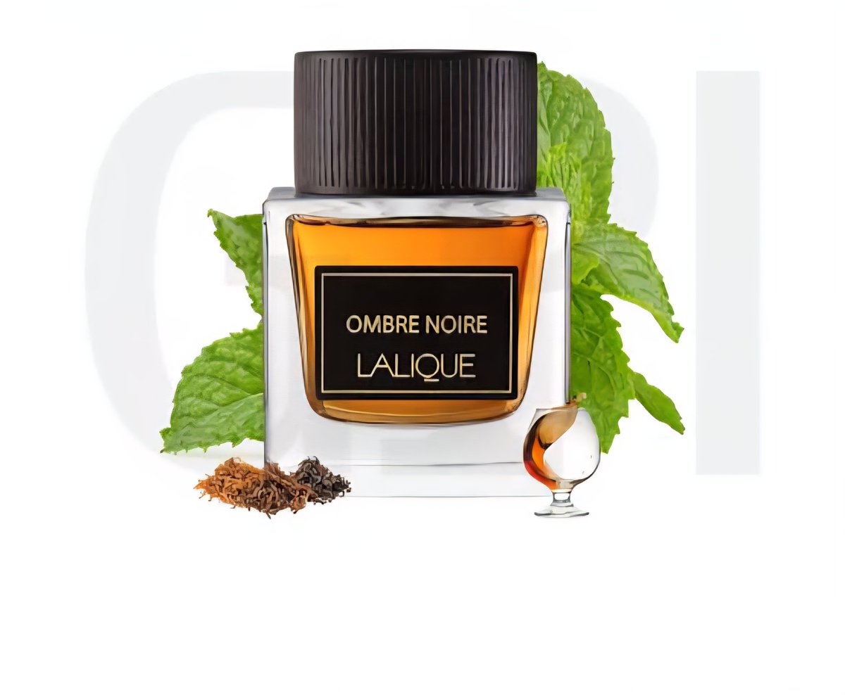kalravkapadia's tweet image. PerfumeAddicts Exclusive Deal:

A MASTERPIECE, A NICHE SMELLING DESIGNER ON FLASH SALE💞💞💞

Lalique Ombre Noire Pour Homme for men from Lalique 100ml EDP TESTER WITH CAP for 4400. #boozy #resinous #beast #tobacco #cinnamon

Only 3 PIECES FASTEST FINGER FIRST

DARK ELEGANCE and