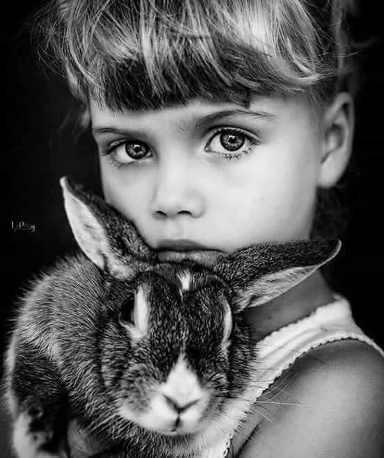 Marie (@m77481070) on Twitter photo 