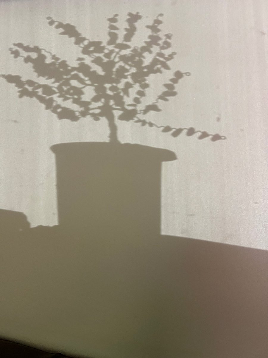 Reflection. <a href="/LouchElaine/">Elaine louch</a>