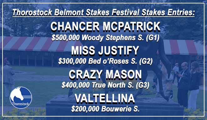 🔵 It's going to be an exciting week in #Saratoga!
#StockUp #BelmontFestival