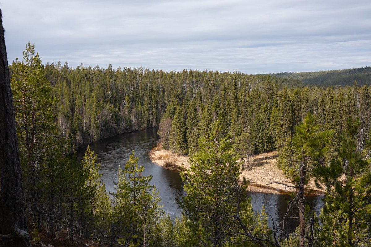 Nordic Unique Travels tweet media