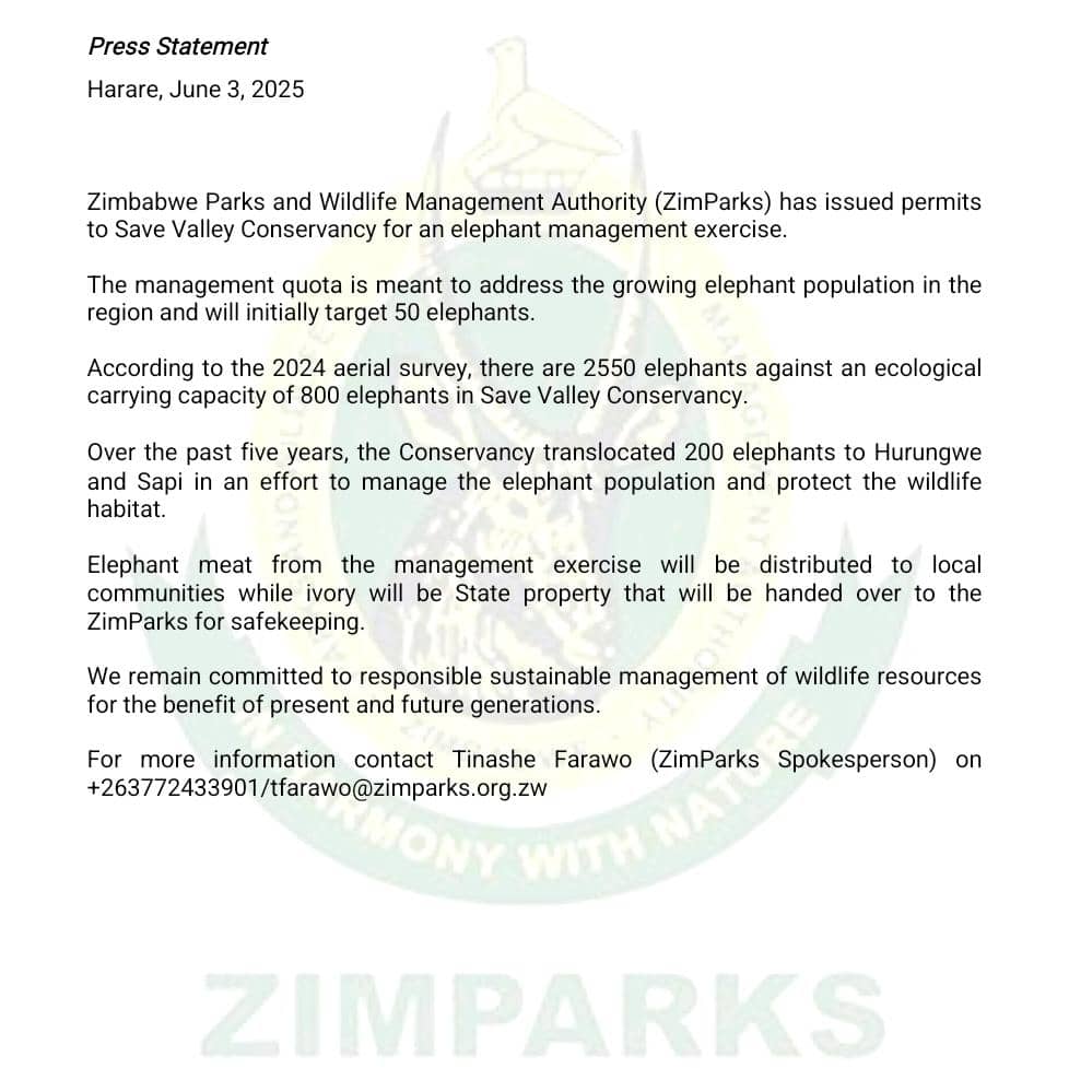 Paul Sixpence (@paulsixpence) on Twitter photo 🐘Zimbabwe has issued permits to cull at least 50 elephants at Save Valley Conservancy which is one of the largest private game reserves in Africa.
🌳The move aims to ensure ecological balance & protecting the habitat.
<a href="/Zimparks/">Zimparks</a> <a href="/MongabayOrg/">Mongabay</a> <a href="/FarawoTinashe/">Tinashe Farawo</a> <a href="/RamblingSpoon/">Karen Coates</a> 🐘Zimbabwe has issued permits to cull at least 50 elephants at Save Valley Conservancy which is one of the largest private game reserves in Africa.
🌳The move aims to ensure ecological balance & protecting the habitat.
<a href="/Zimparks/">Zimparks</a> <a href="/MongabayOrg/">Mongabay</a> <a href="/FarawoTinashe/">Tinashe Farawo</a> <a href="/RamblingSpoon/">Karen Coates</a>