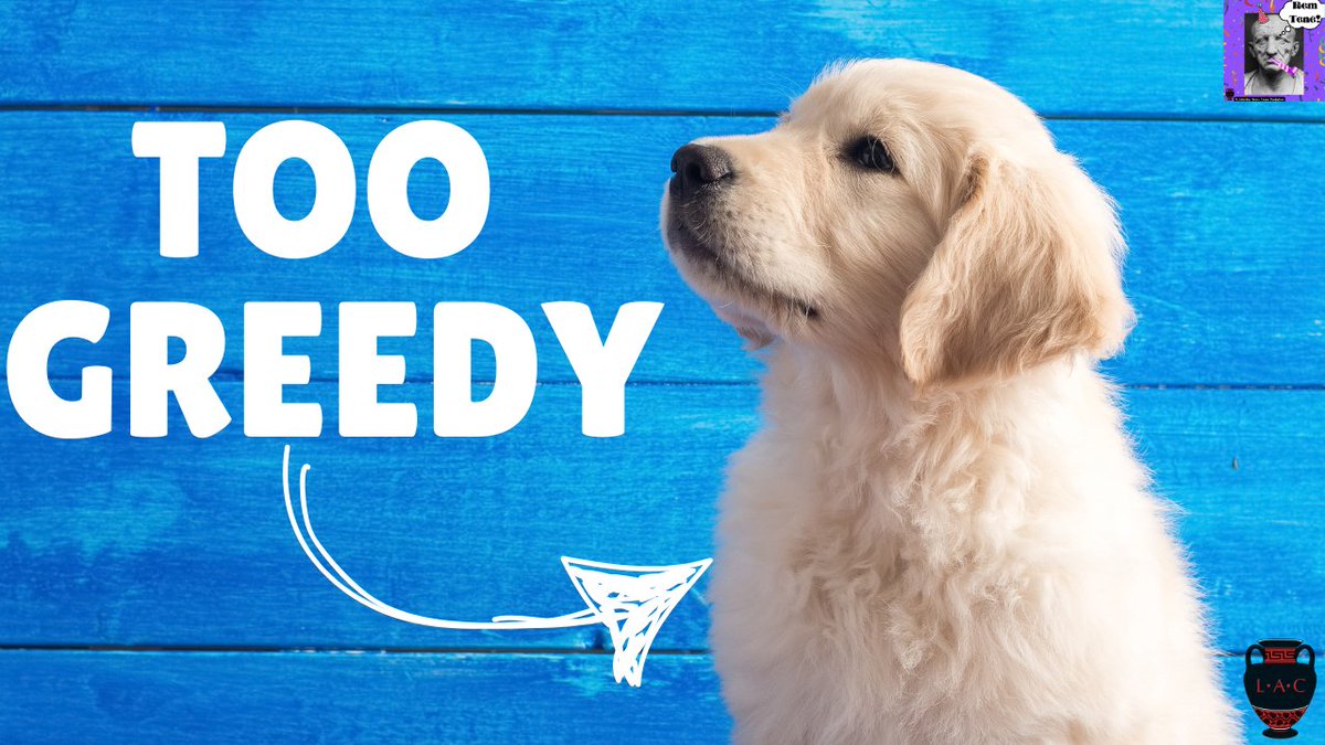 The story of the dog and the meat from Aesop told entirely in comprehensible Latin! Quid melius??

youtu.be/1J2aAIx33Ug?si…